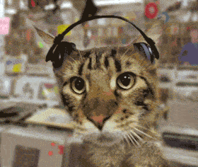 Solid Pleasure Logo mit Headbangercat