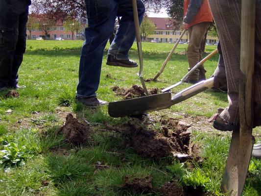 guerilla gardening