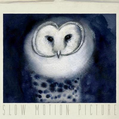 slow motion picture - in memory of...