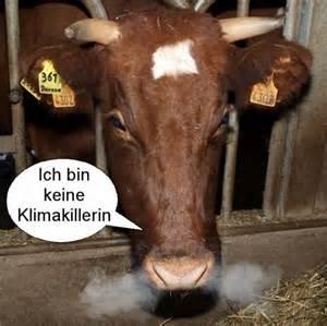 ich bin keine klimakillerin