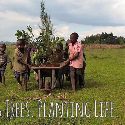 Bäume.Leben pflanzen. das OTEPIC Kenia Project