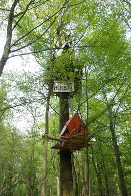 Baumhaus im hambacher Forst