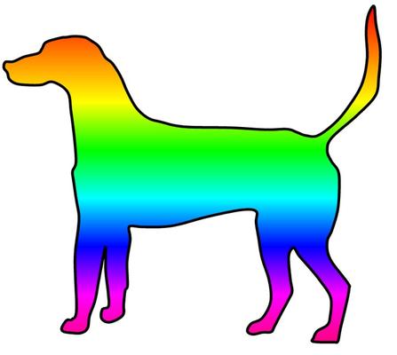Regenbogenfarbener Hund