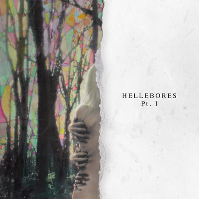 niights - hellebores Pt. I