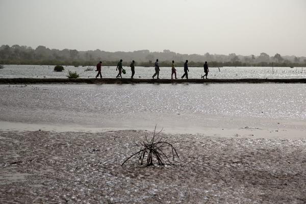 Fischer in inspizieren die Dämme in einer Lagune in der Casamance