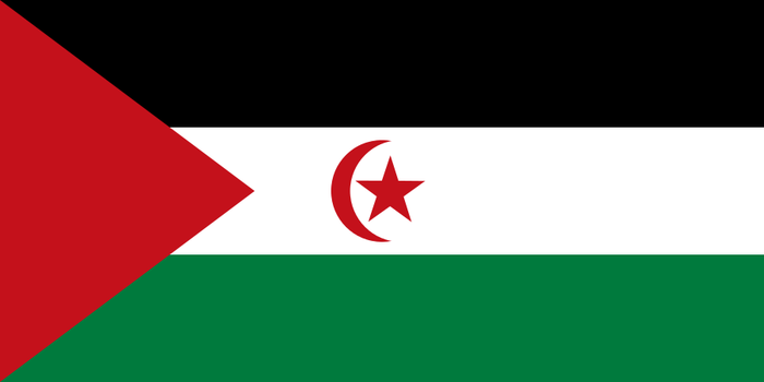 Flagge der Demokratischen Arabischen Republik Westsahara