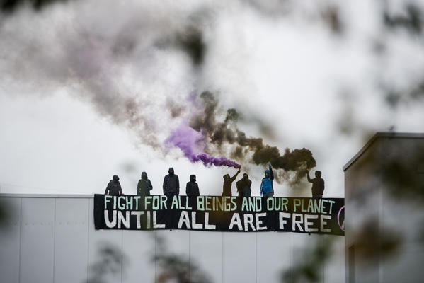 Aktivist*innen der Gruppe Tear Down Tönnies blockierten im Oktober 2019 den Schlachthof des Skandalunternehmens in Kellinghusen