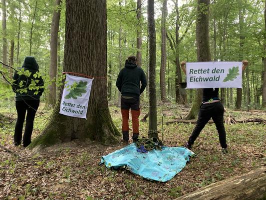 2021 gab es eine ca. 60 Tage andauernde Baumbesetzung im Eichwald Müllheim