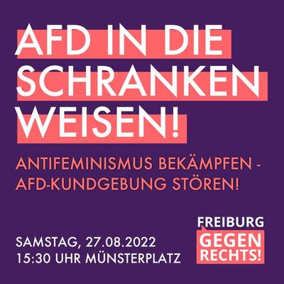 AfD in die Schranken weisen. Antifeminismus bekämpfen AfD Kundgebung stören Sa. 1530 Münsterplatz Freiburg