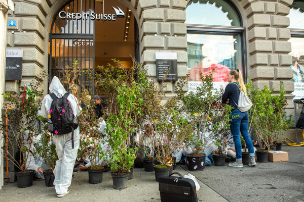 Protest vor der Credit Suisse in Zürich mit Pflanzen vor einem Eingang zur Bank