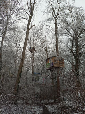 Baumhaus im Dietenbachwald, der für den neuen Stadtteil abgeholzt werden soll