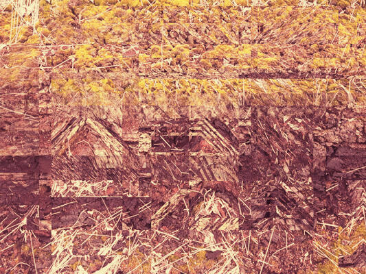 Distorted, cut-up photo of a natural earthy place. Yellow and red-brown colors.