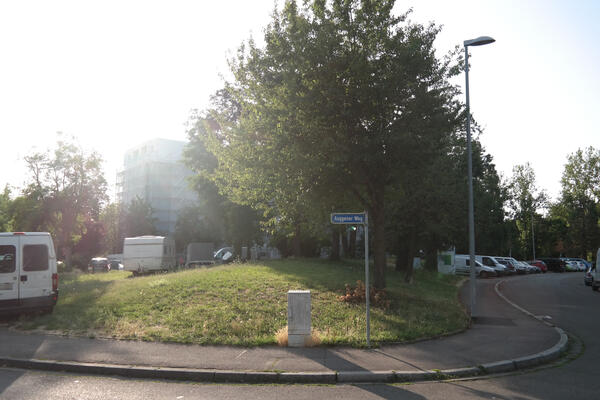 Wiesendreieck am Auggener Weg in Weingarten, das die Stadtbau bebauen will