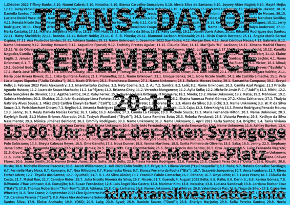 Trans*-Fahne, inkl. aller Namen durch Gewalt verstorbener Trans*-Menschen im letzten Jahr