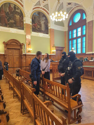 Maja vor Gericht Maja vor Gericht