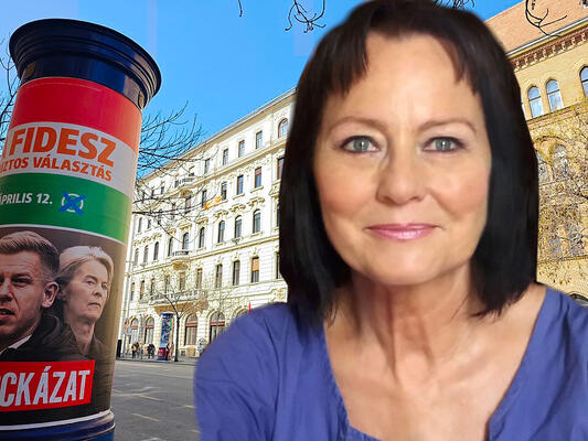 Das Bild zeigt auf der Rechten Sete ein Porträt der Kulturwissenschaftlern Dr. marsovsky und links eine Litfassäule mit Wahlwerbung der beiden Kandidaten 