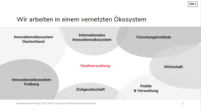 Selbstgewichtende Darstellung der Vernetzungungssäulen des Mtors - dem i-Team