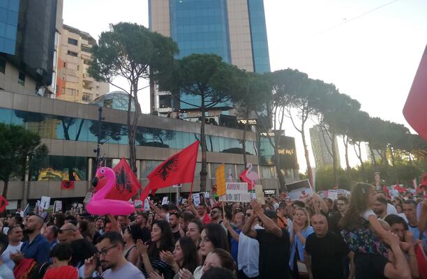 protestierende Menschenmenge in Tirania auf der Straße mit Flamingo-Symbol und Protestschildern