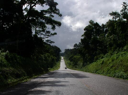 Wohin führt der Emissionshandel? Im Mabira Forest in Uganda führt eine Straße nach Jinja. In vielen Ländern Ostafrikas sorgt der Emissionshandel für Konflikte. gerade Landstraße leich abfällig durch ein Dschungelgebiet mit üppiger grüner Landschaft am Straßenrand