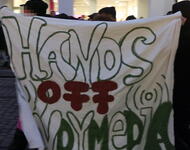 Transparent auf Demo: Hands offe Indymedia