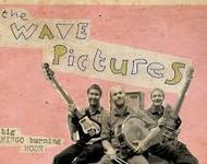 The Wave Pictures - Great Big Flamingo Burning Moon