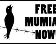 bring mumia home