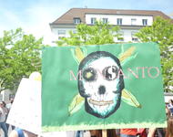 march against monsanto & syngenta