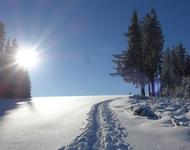 Bild einer Winterlandschaft mit gepurtem Pfad durch tiefen Schnee