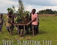 Bäume.Leben pflanzen. das OTEPIC Kenia Project