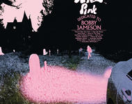 ariel pink - dedicated to bobby jameson