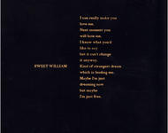 sweet william - kind of strangest dream