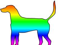 Regenbogenfarbener Hund