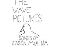 the wave pictures - songs of jason molina