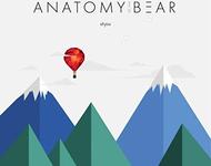 anatomy of the bear - alysu