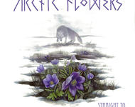 arctic flowers - straight to the hunter