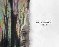 niights - hellebores Pt. I