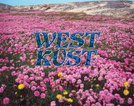 westkust - westkust