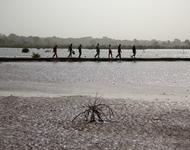 Fischer in inspizieren die Dämme in einer Lagune in der Casamance