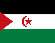 Flagge der Demokratischen Arabischen Republik Westsahara