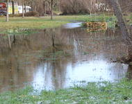 Überschemmung im Dietenbach Park Westlich des Bach und Public Gardening