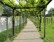 Der Weinlehrpfad im Park