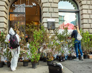 Protest vor der Credit Suisse in Zürich mit Pflanzen vor einem Eingang zur Bank