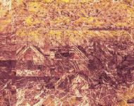 Distorted, cut-up photo of a natural earthy place. Yellow and red-brown colors.