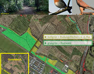 Plakat zum Dietenbach Oben links: Blick durch Waldweg, rechts:geschtützte Vögel, links unten Plan Dietenbach Mitte und rechts : Flächennutzungsplan mit Rodungsflächen