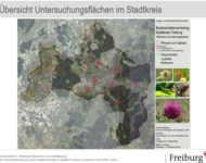 Karte des Stadtgebiet  mit den Untersuchungsgebiten wie Resultaten des Bidiversitätsmonotoring