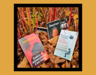 Bücher von Edouard Louis im herbstlichen Gras