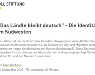 Titel und Teaser der Recherche von der Website der Heinrich Böll Stiftung. Links oben ist das Stiftungslogo zu sehen.