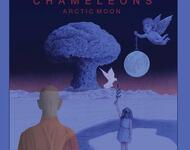 chameleons - arctic moon