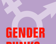 cover des Buches Gender Punk, rote Schrift auf lila Grund