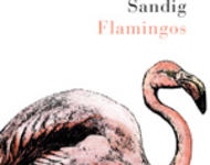 cover_Flamingos